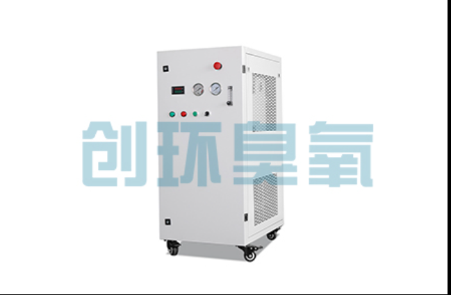 开平工厂化养鲈必看：2026年臭氧发生器替代传统消毒的最新方案