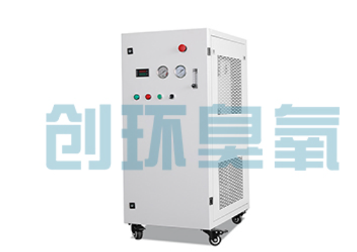 开平石斑鱼养殖水质调控完整指南：臭氧发生器配置与操作步骤