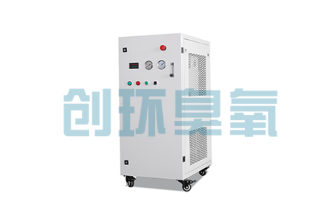 开平比传统换水更高效？臭氧发生器在石斑鱼养殖中的水质净化原理解析